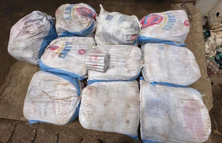 Benin customs dismantle explosive smuggling ring from Togo