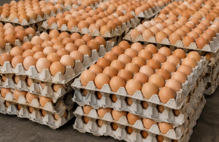 Price cap on eggs in Burkina Faso: a flawed policy that stifles business growth