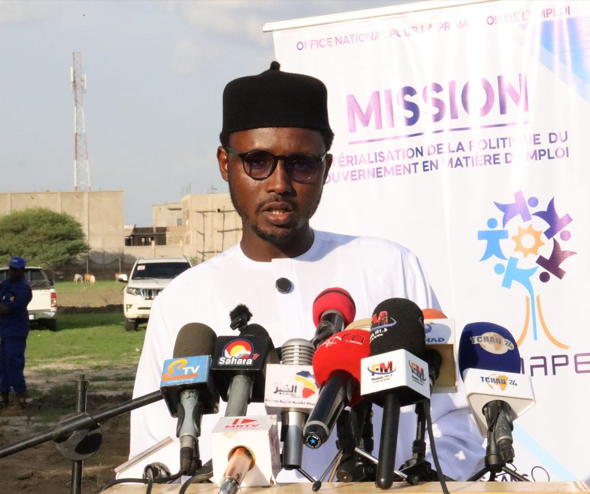 Chad launches green jobs program to train 200 youth in urban farming
