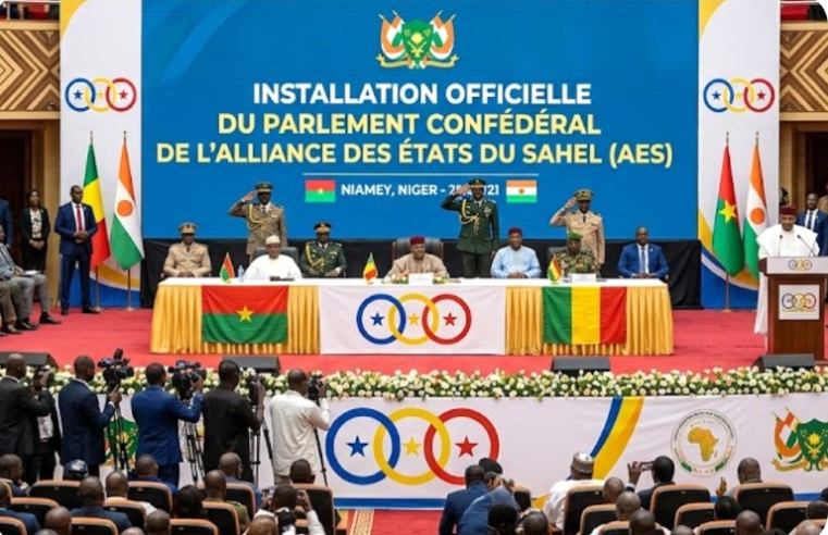 The Niamey AES Parliament: a shadow of democracy in the Sahel