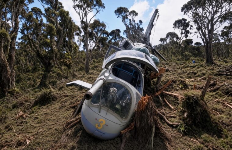 Tragic helicopter crash in Kenya claims ecuadorian intelligence chief and five americans