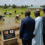 Democratic Republic of Congo: a pivotal prisoner transfer to AFC/M23