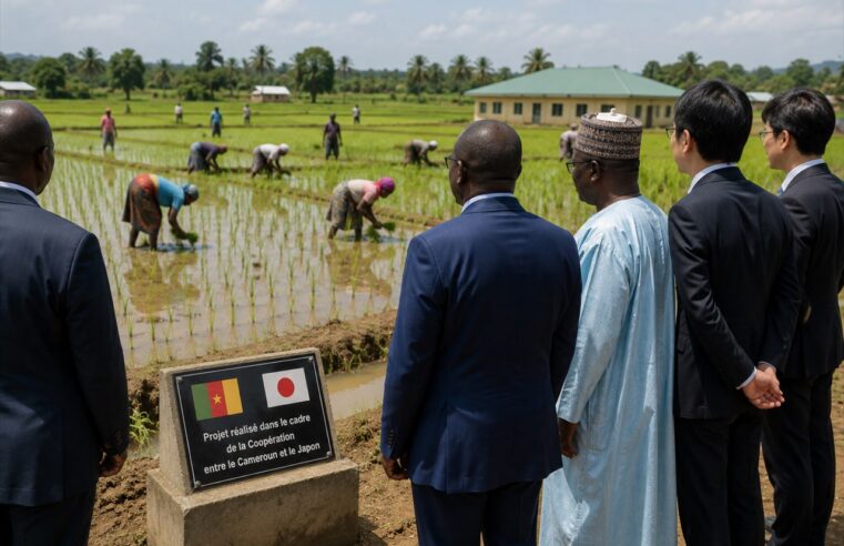 Japan’s 646 million usd investment boosts Cameroon’s economy