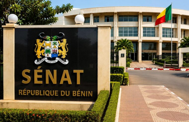 Bénin: how the executive and legislative powers maintain a strict separation despite the Senate’s establishment