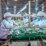 West africa pushes for local drug production and genomic research in Togo