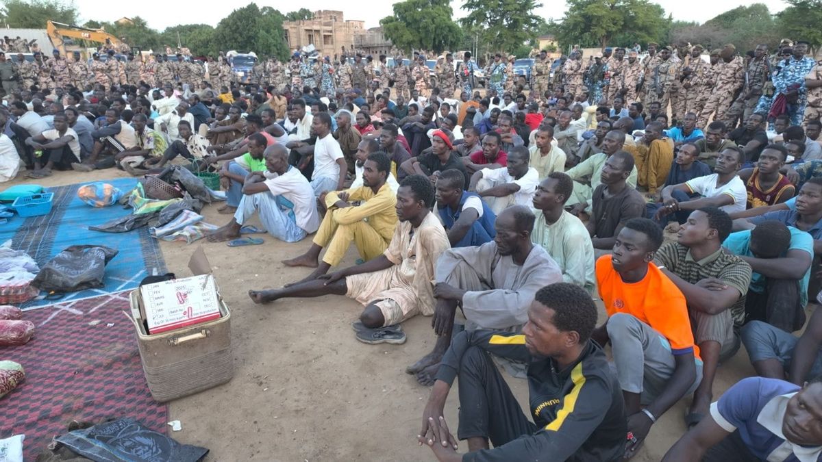 N’Djamena: major security sweep nets 252 arrests in anti-crime drive