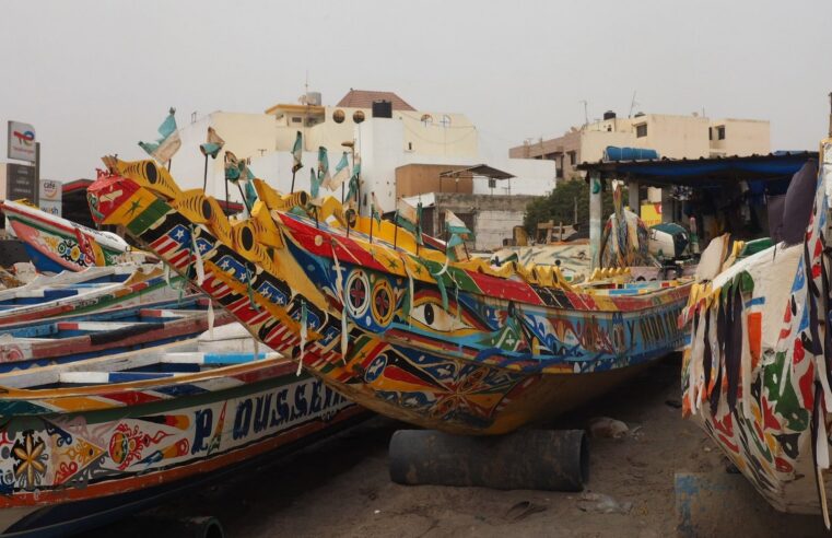 Senegal’s june import surge: dissecting trade dynamics