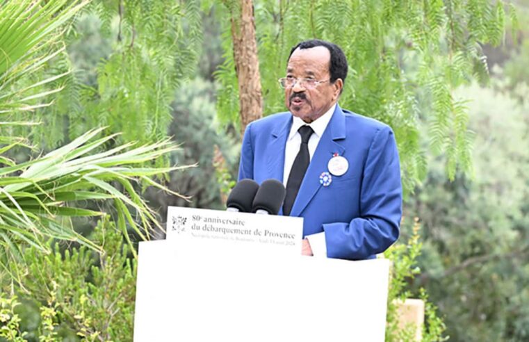 Cameroon’s prime minister represents president biya at au conflict prevention summit in luanda