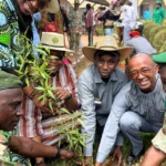 Cameroon extends population census period for second time