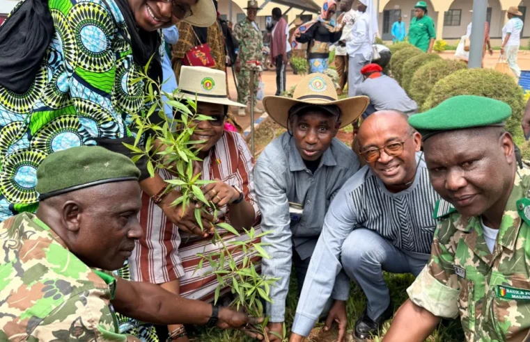 UNESCO Mali joins launch of 32nd national reforestation campaign