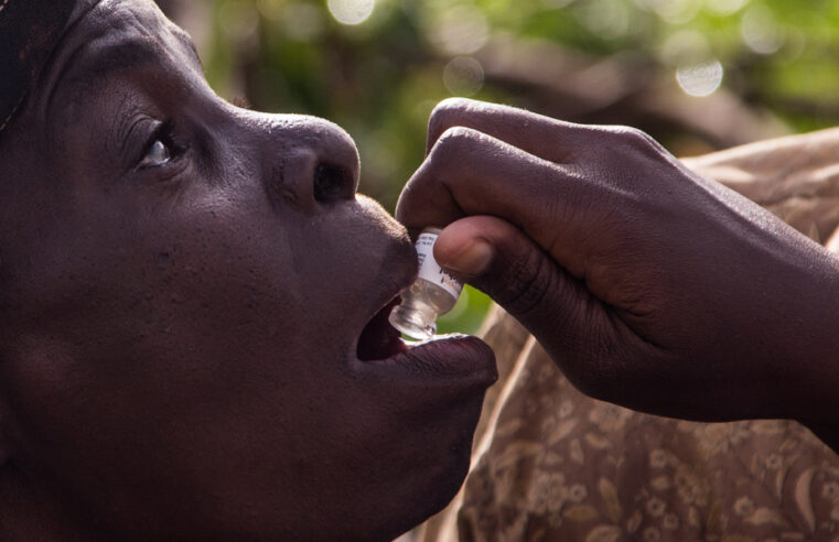 Cholera outbreak claims 13 lives in Chad