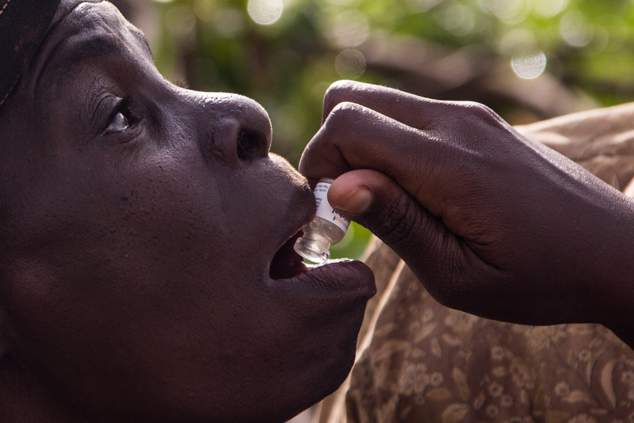 Cholera outbreak claims 13 lives in Chad