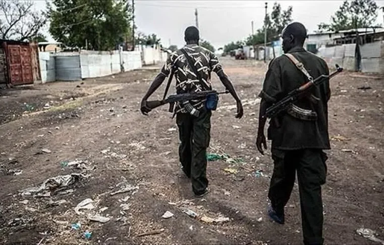 Deadly boko haram attack leaves eight dead in Cameroon’s far north