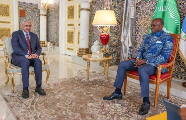 Gabon and African development bank launch priority projects pact