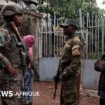 Niger: the risks of militarising youth civic engagement