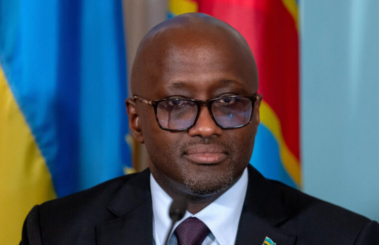 New peace protocol for FDLR rebels in democratic republic of Congo raises questions