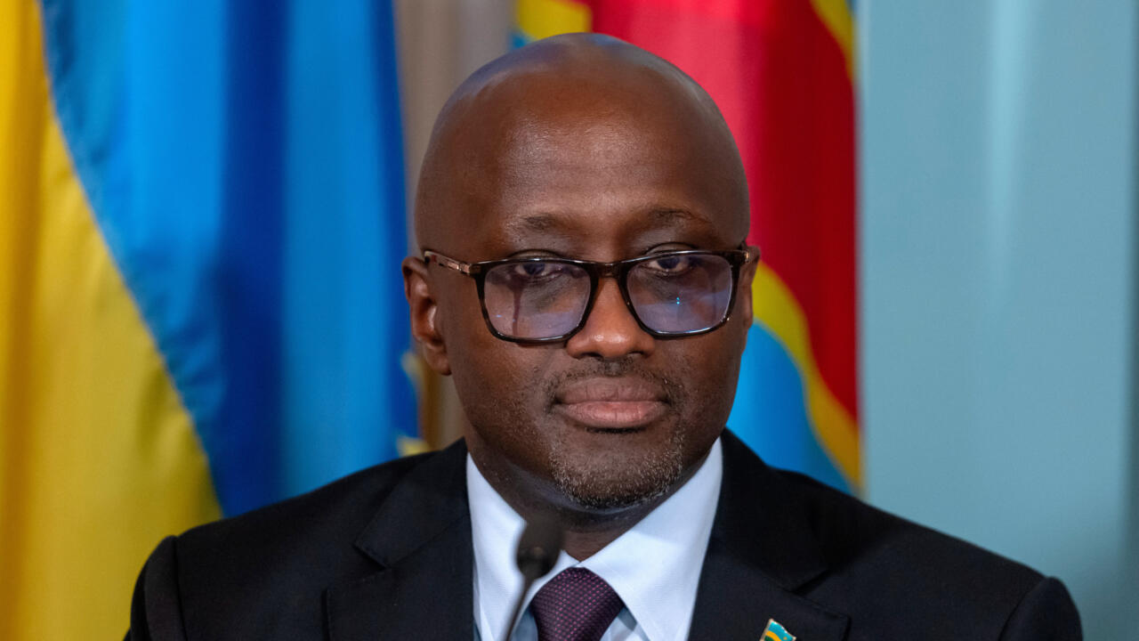 New peace protocol for FDLR rebels in democratic republic of Congo raises questions