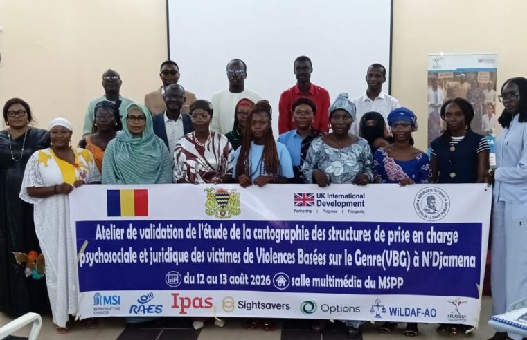Chad workshop validates gender-based violence service mapping in N’Djamena