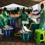 Gabon’s leader studies Côte d’Ivoire’s development model during Abidjan visit