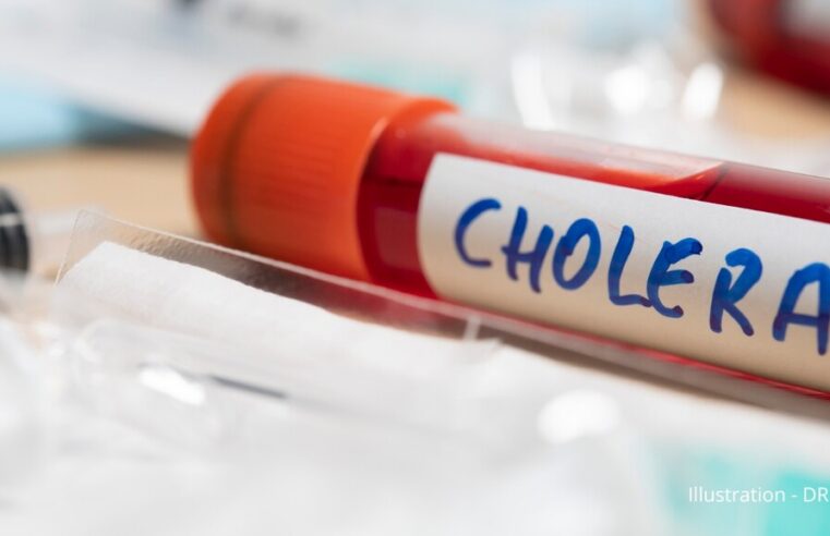 Cholera outbreak in Chad claims 13 lives, over 230 cases reported