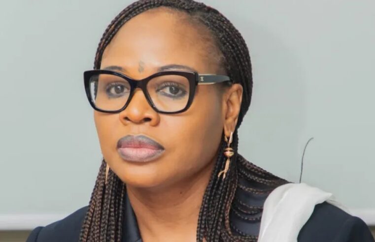 Benin minister engages with SMEs in Alibori and Borgou regions