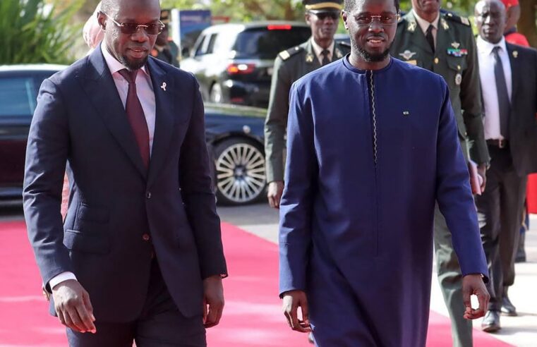 Senegal political tension over Bassirou Diomaye Faye’s heritage