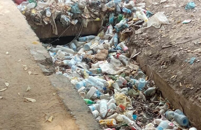 Chad’s plastic waste challenge: untapped potential in recycling