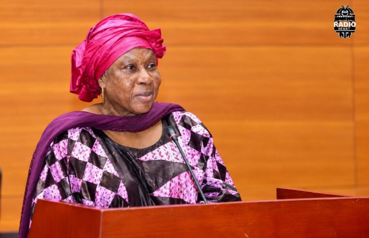 Bandiagara massacre: rights body urges Mali to uphold its core duties